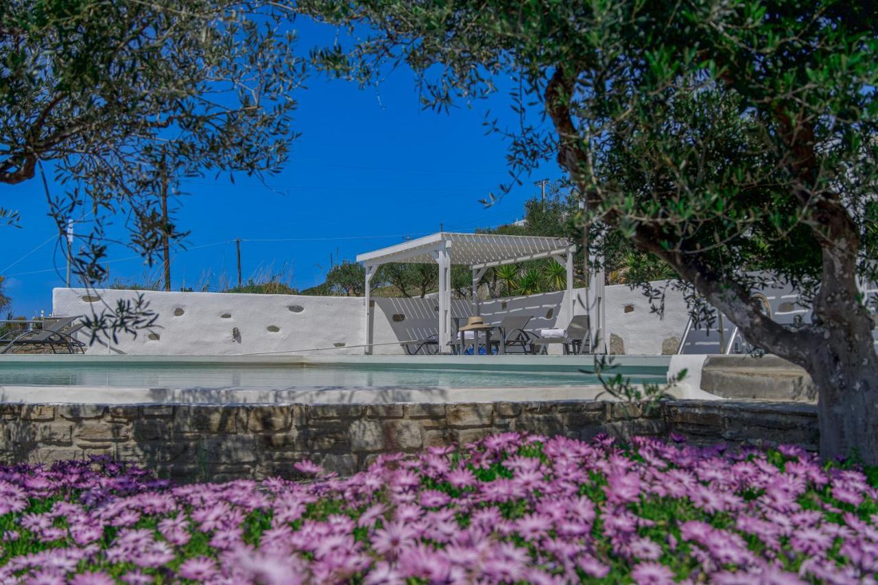 Anthemion Paros - Villas & Suites Agia Irini  Dış mekan fotoğraf
