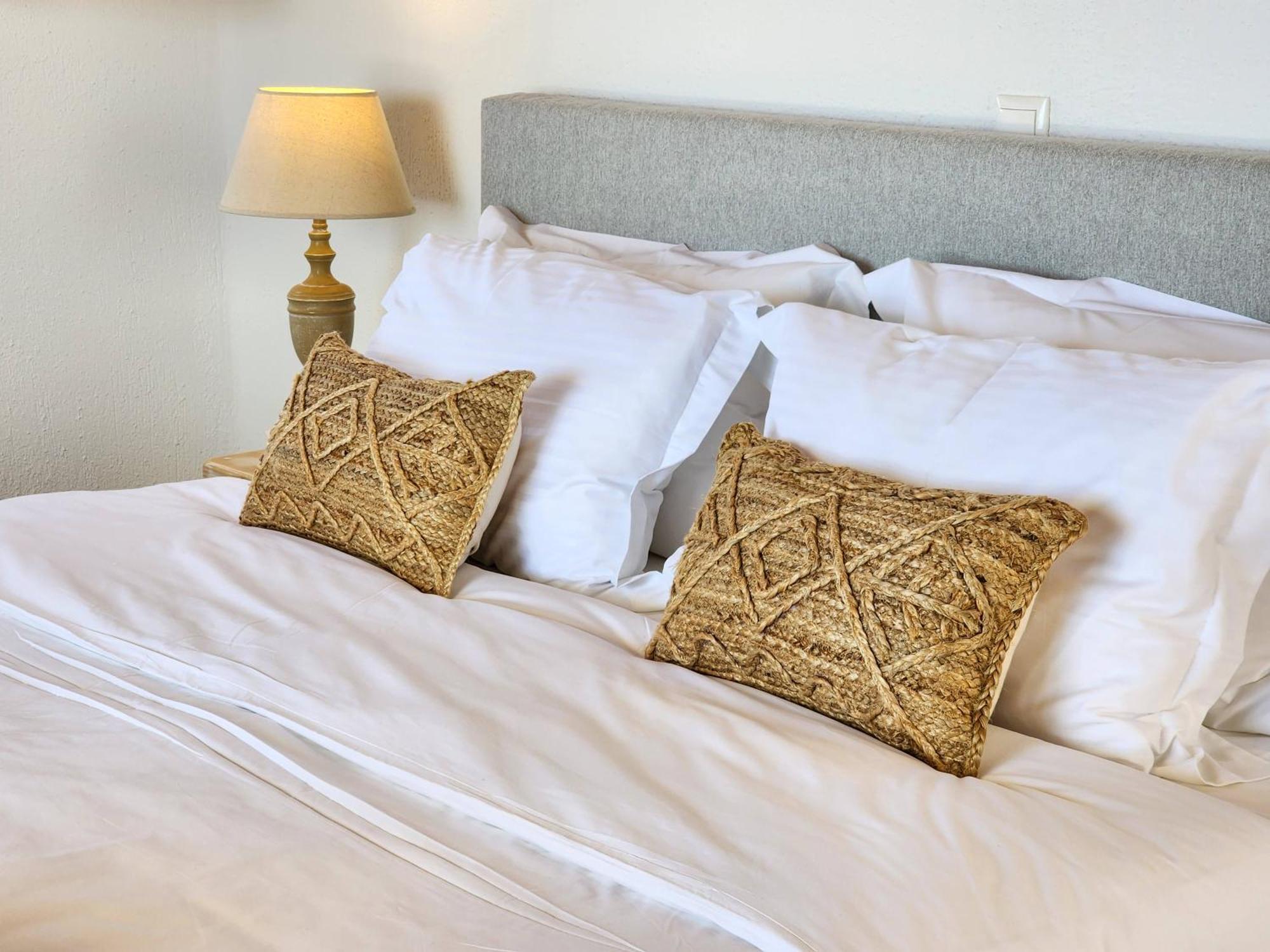 Anthemion Paros - Villas & Suites Agia Irini  Dış mekan fotoğraf
